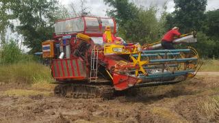 ขายรถเกี่ยวข้าว เจ้าช้างไวไฟปี48 เครื่องมิตซู225 ปั๊ม23อีตั้นตัวเดิน12 ช่วงล่างเช็คใหม่หมด ปั๊ม นิ้วลูกปืน รถกำลังลงงาน วีดีโอการทำงาน 